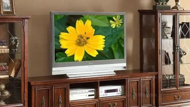 客厅背景墙怎样装修才能招财进宝，内行人都知道的风水知识！